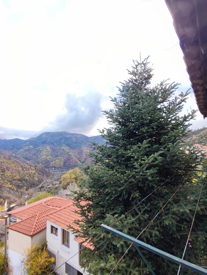 Lagadia Holiday home *