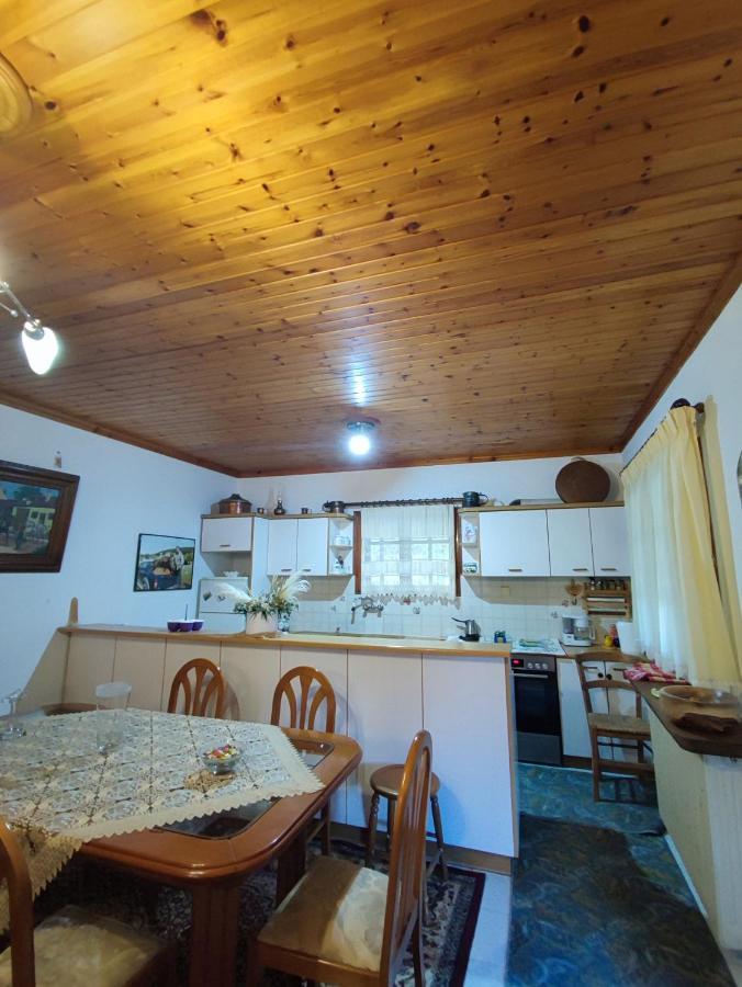 Lagadia Holiday home